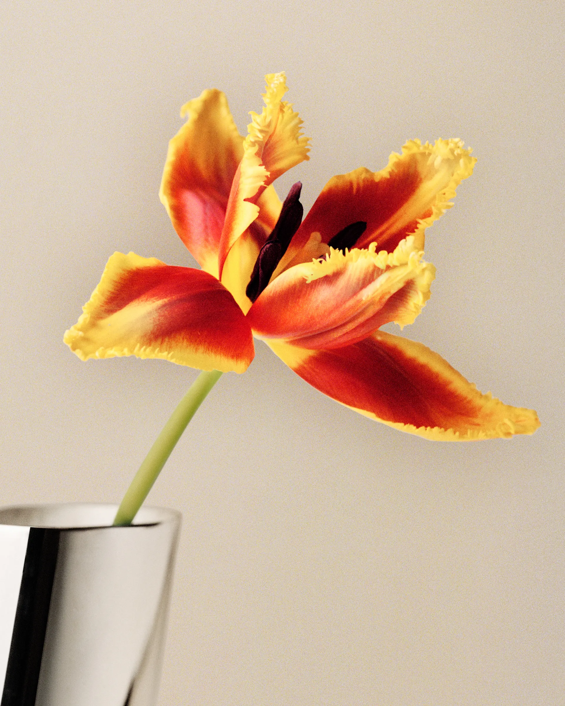 Lituus vase large 34,2 cm, Rustfritt stål Georg Jensen