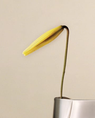 Lituus vase large 34,2 cm - Rustfritt stål - Georg Jensen