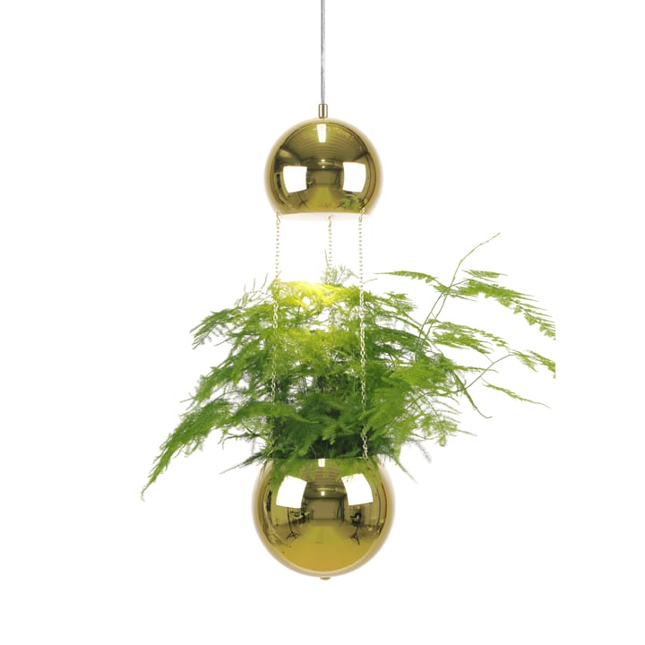 Planter taklampe og planteoppheng - messing - Globen Lighting