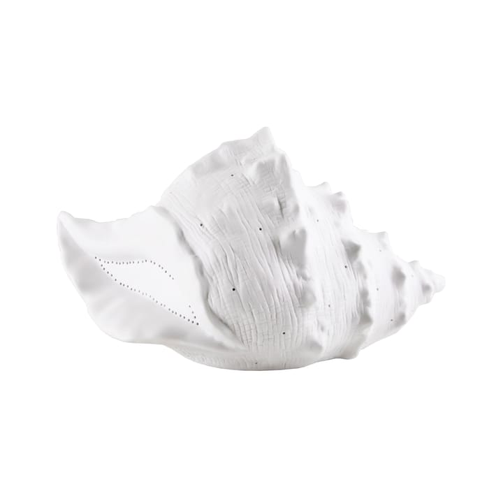 Seashell bordlampe - Hvit - Globen Lighting