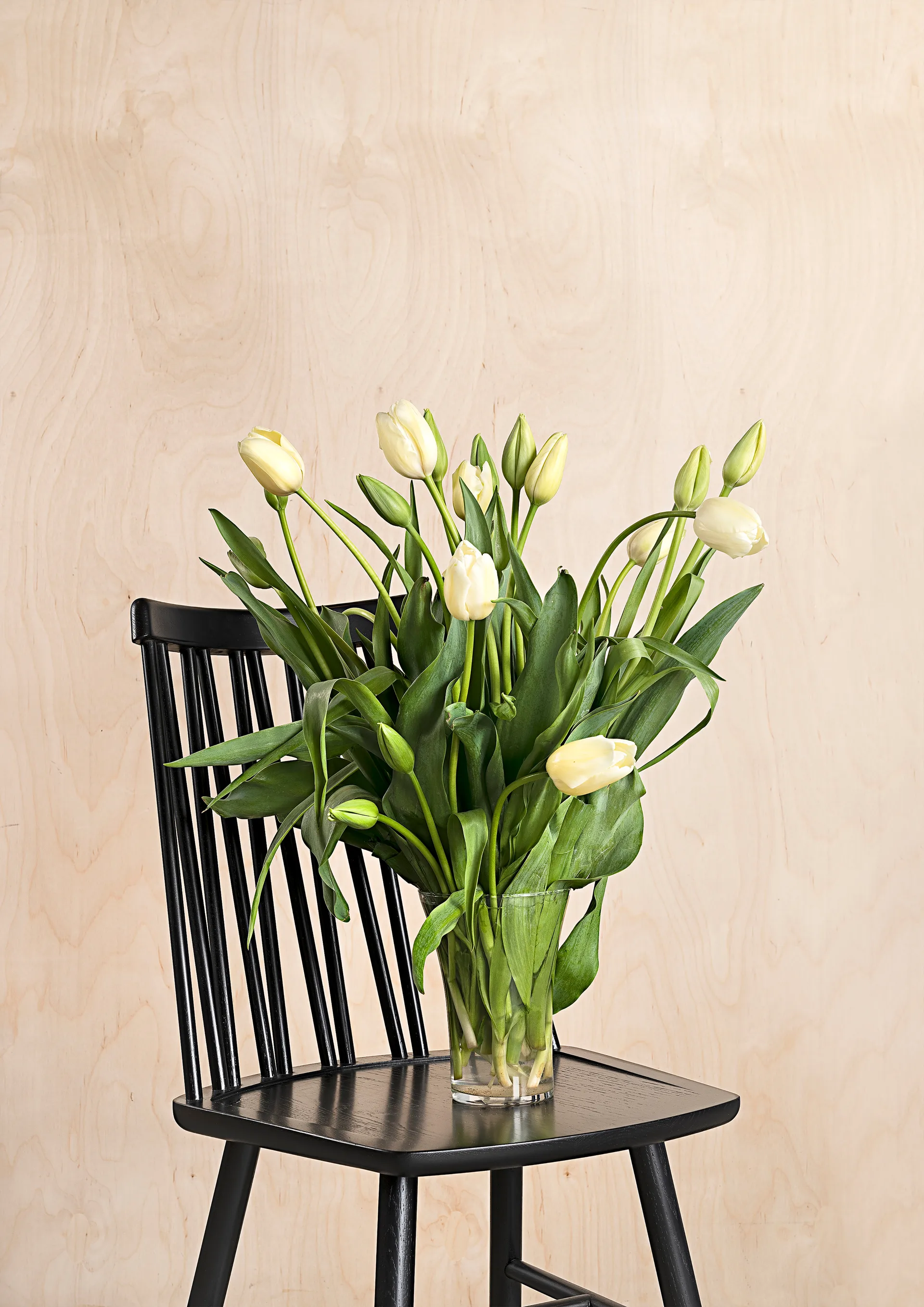 ZigZag stol, Ask svart beis Hans K