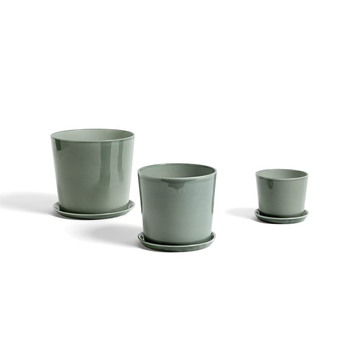 Botanical Family krukke, Dusty green, xl, med fat ø22 cm HAY