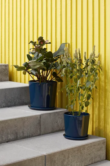 Botanical Family krukke XL Ø22 cm - Dark blue - HAY