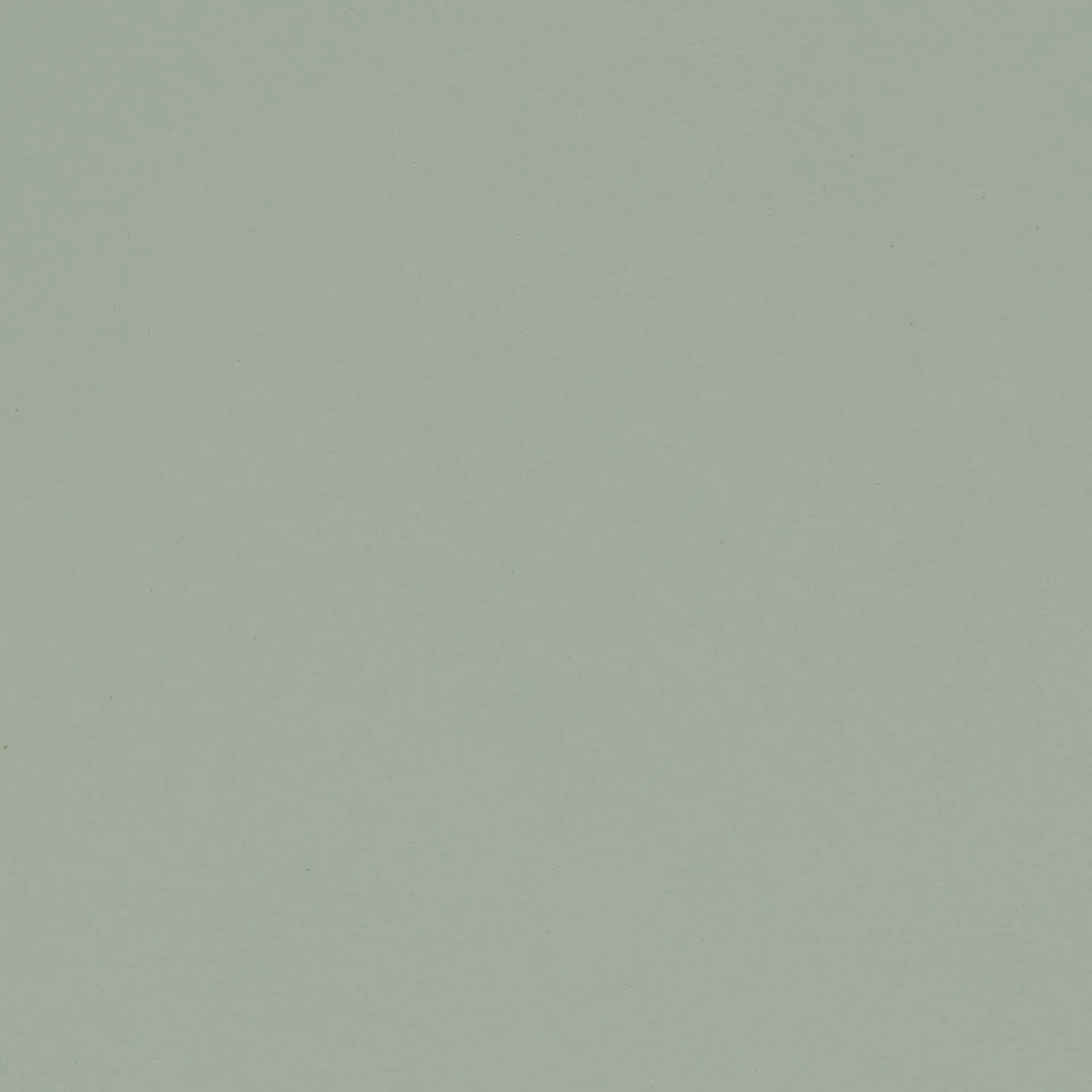 Chisel lounge chair, Eucalyptus lakkert bøk HAY