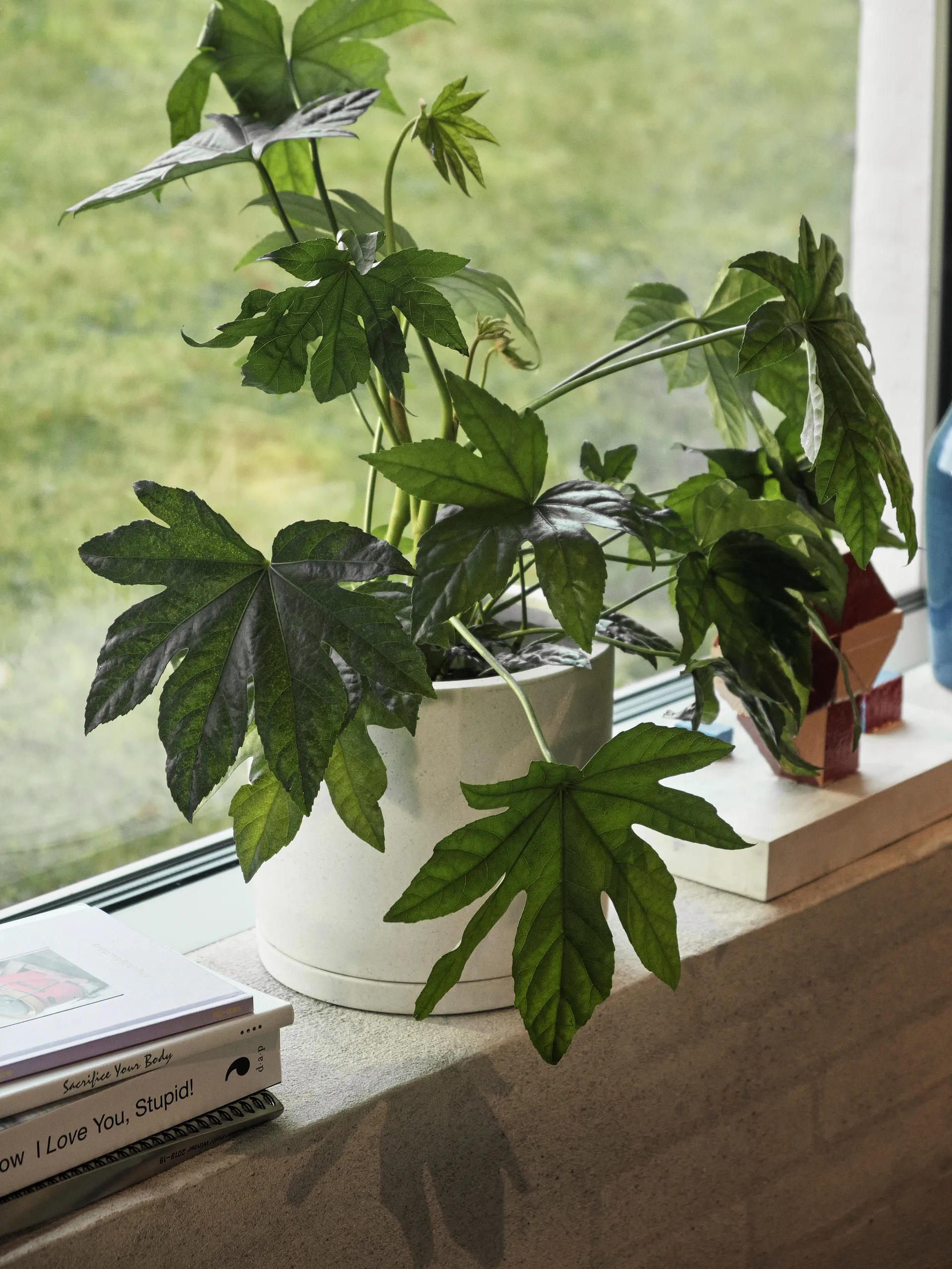 HAY Plant Pot with saucer krukke L Ø 19 cm, Hvit HAY