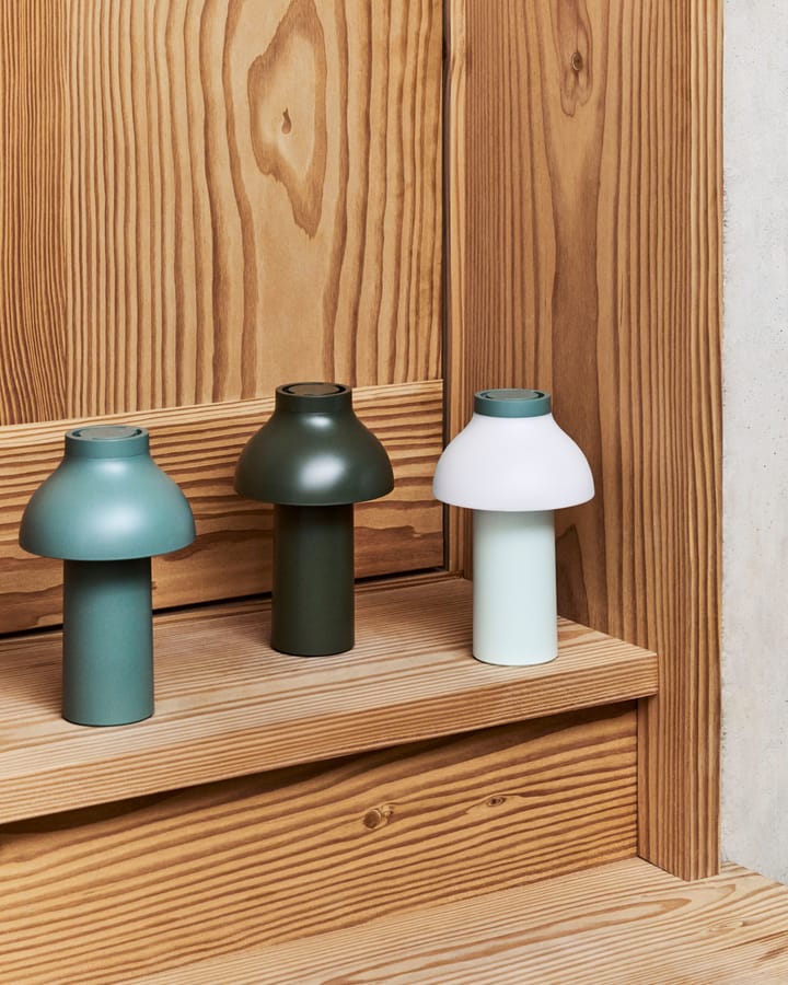 PC Portable No 2 bordlampe, Olive HAY