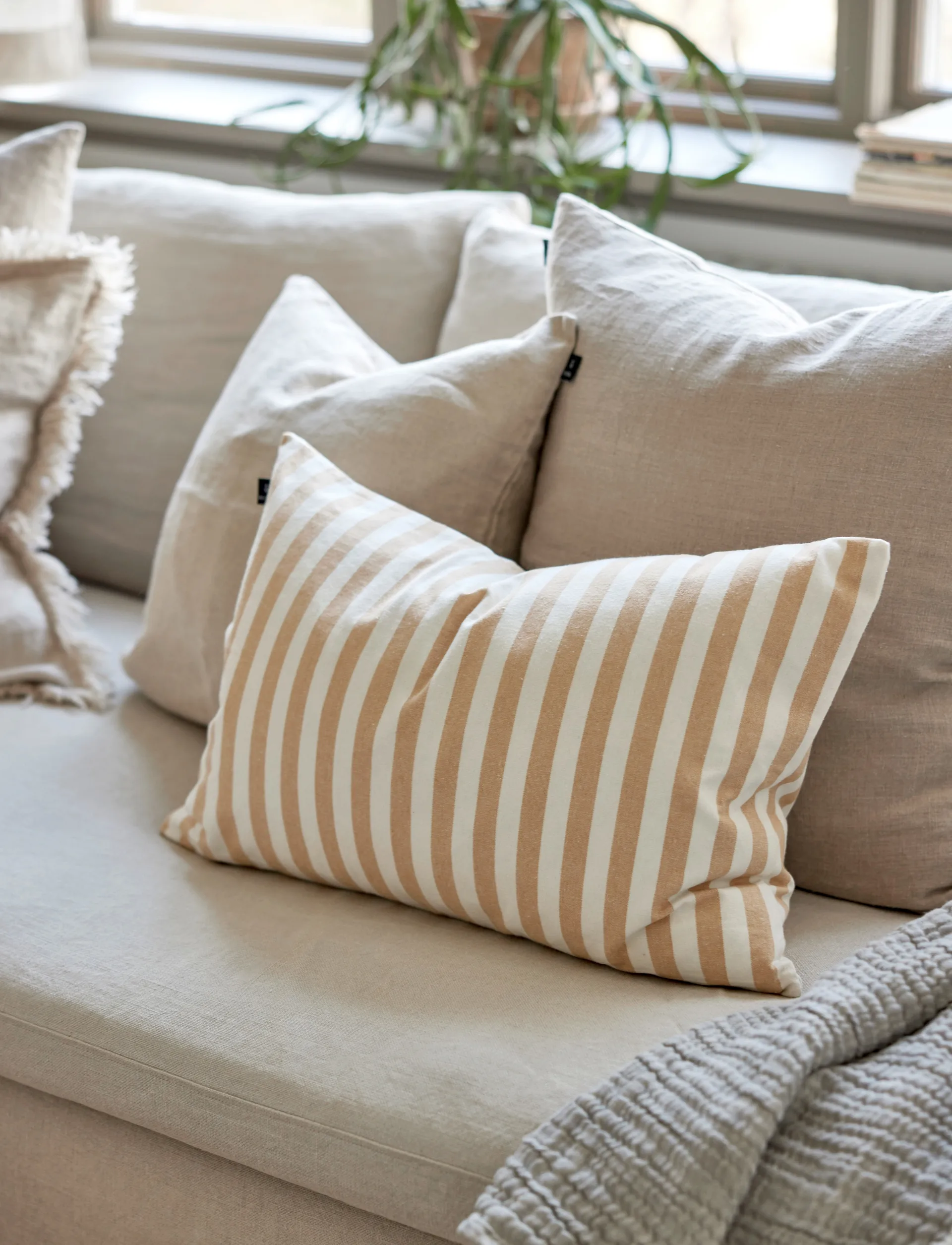 Bretagne putetrekk, Wheat, 40x60 cm Himla