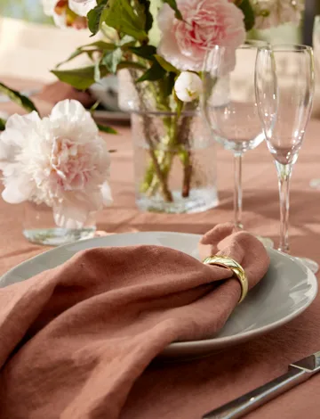 Sunshine serviett 4-pakning - Grounded, 45x45 cm - Himla