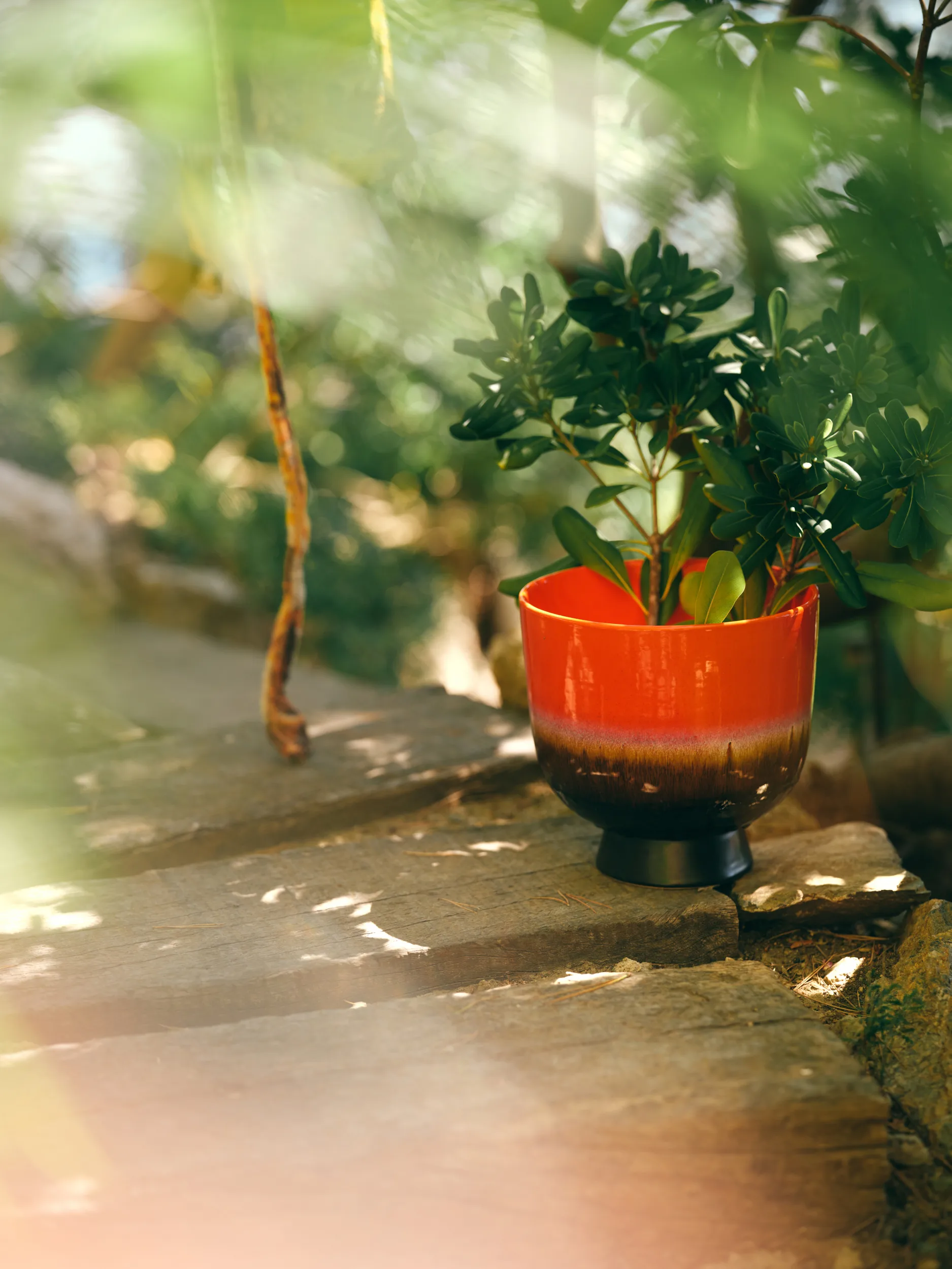 Retro blomsterpotte Ø20,5 cm, Cherry red HKliving