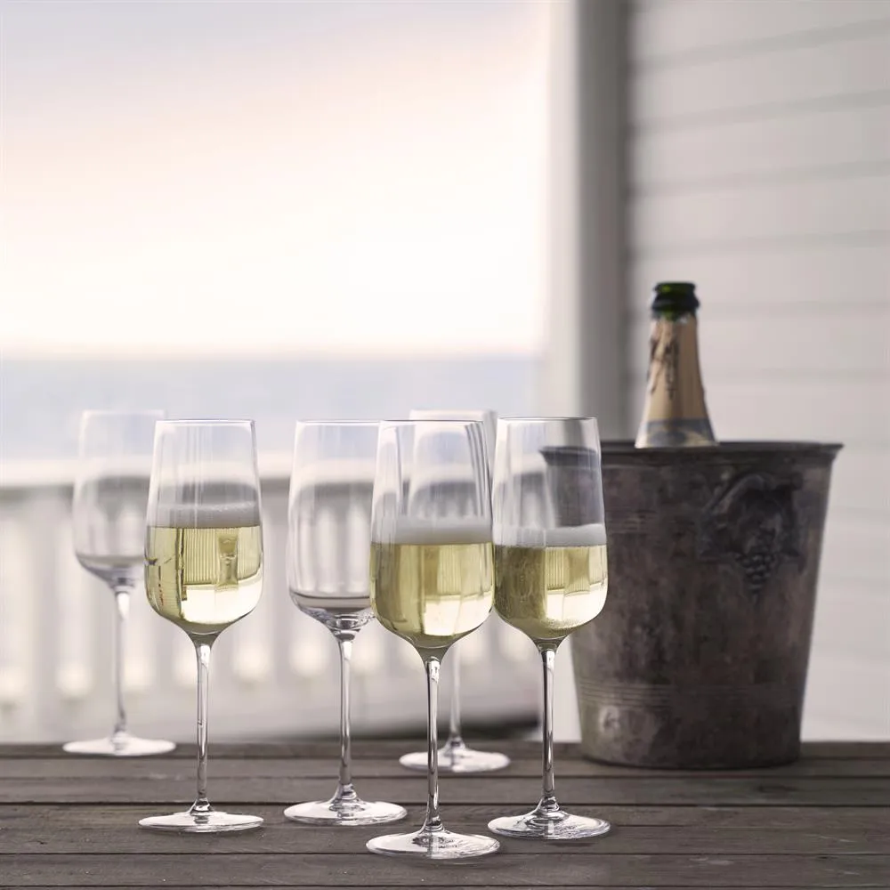 Bouquet champagneglass 6-pakn. 29 cl Holmegaard