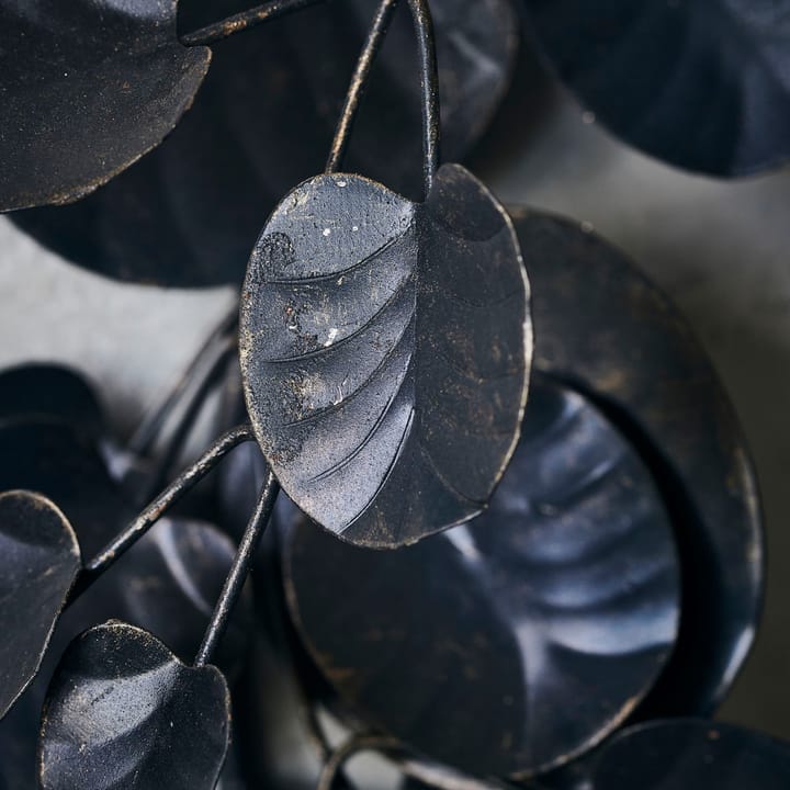 Eucalyptus julkrans, Svart House Doctor