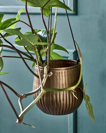 Plan hengende krukke 2 deler - Gyllen - House Doctor