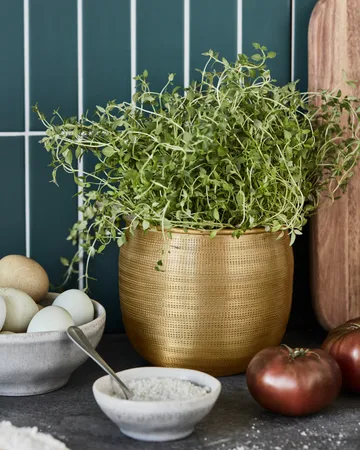 Spot krukke 2 deler - Gyllen - House Doctor