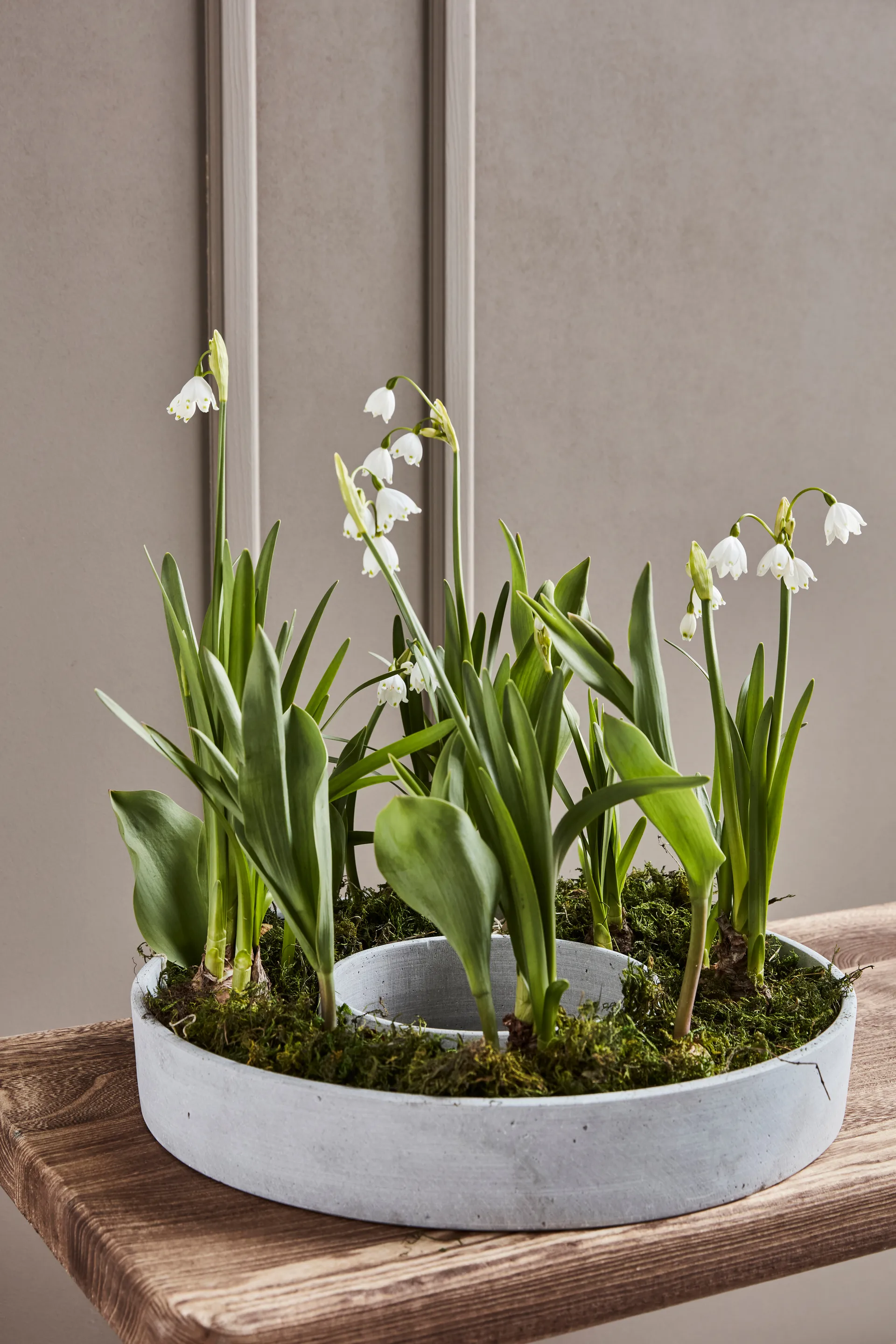 The Ring lysestake for kubbelys, Betong House Doctor