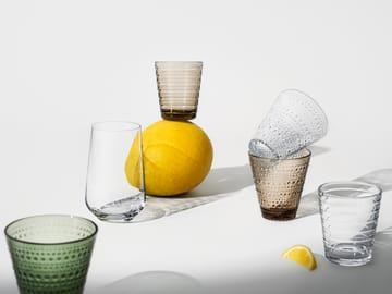 Aino Aalto vannglass 2-pack 22 cl - klar - Iittala