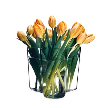 Alvar Aalto vase klar - 160 mm - Iittala