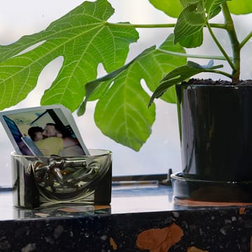 Kuru glassskål 6x13 cm - mosegrønn - Iittala