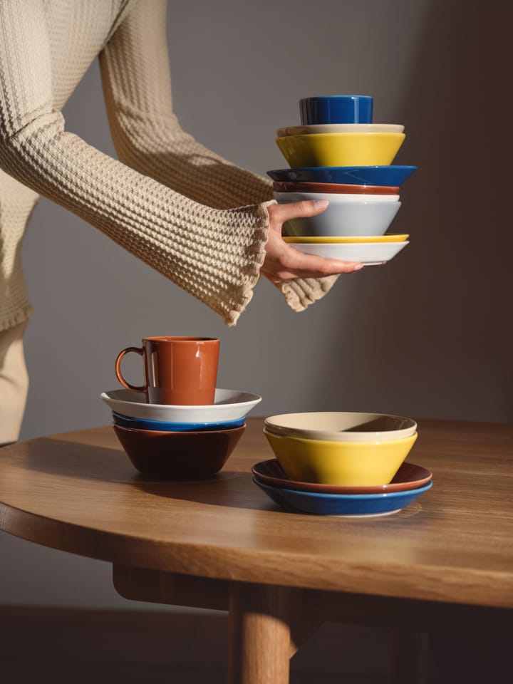 Teema tallerken Ø21 cm, Vintage blå Iittala