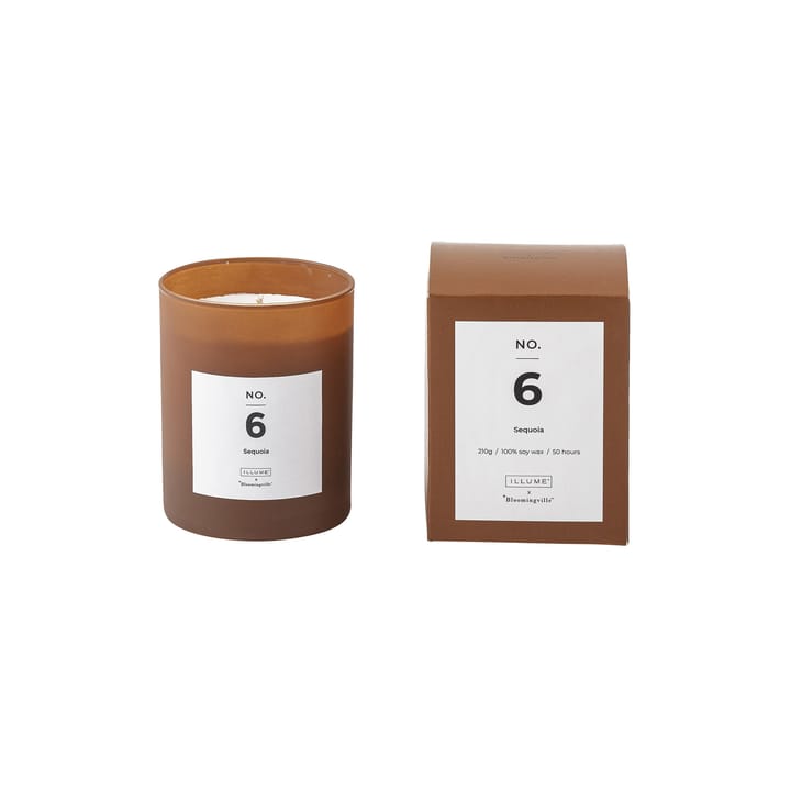 NO. 6 Sequoia duftlys - 200 g + Giftboks - Illume x Bloomingville