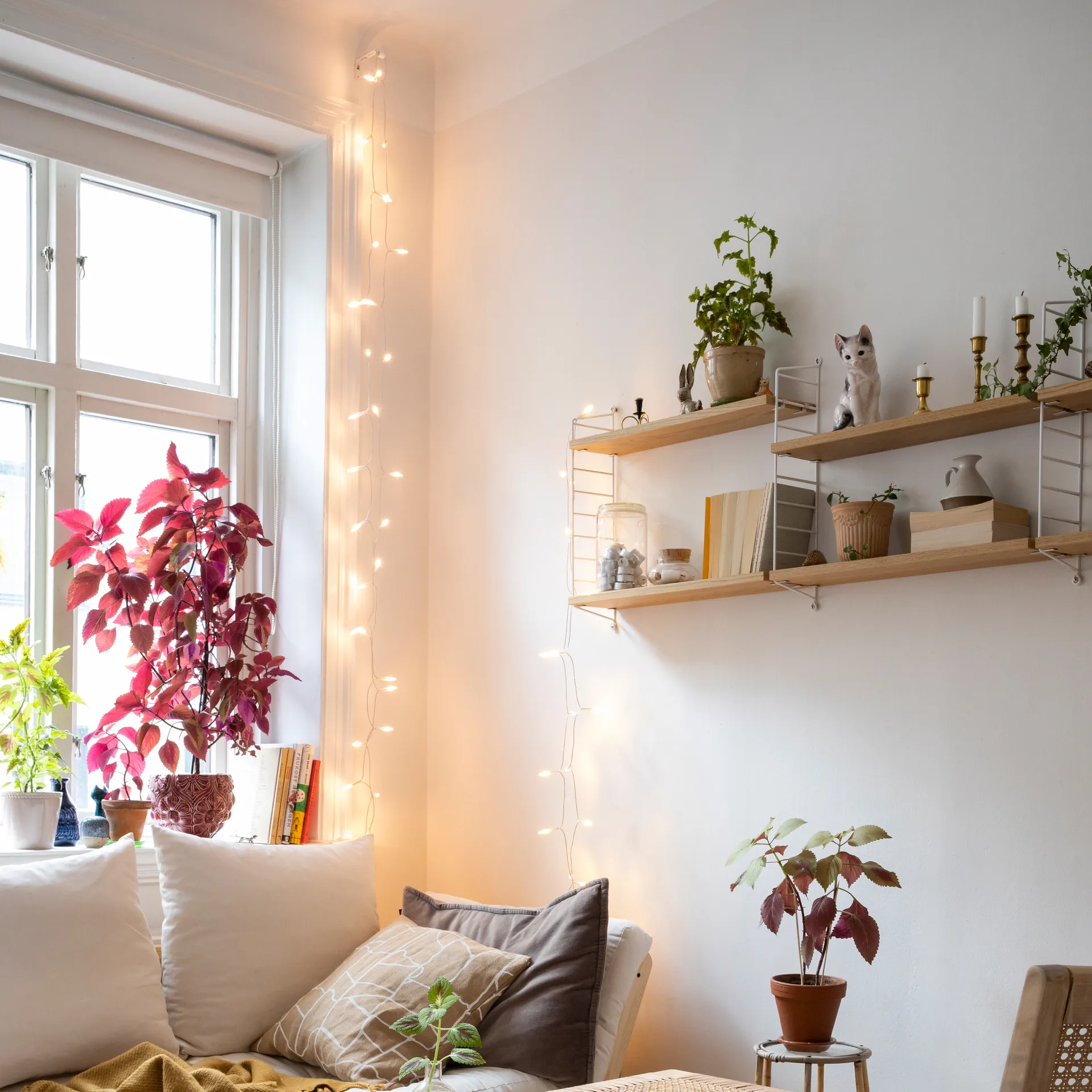 Irislights ekstra lysslynge, 35 baller Irislights