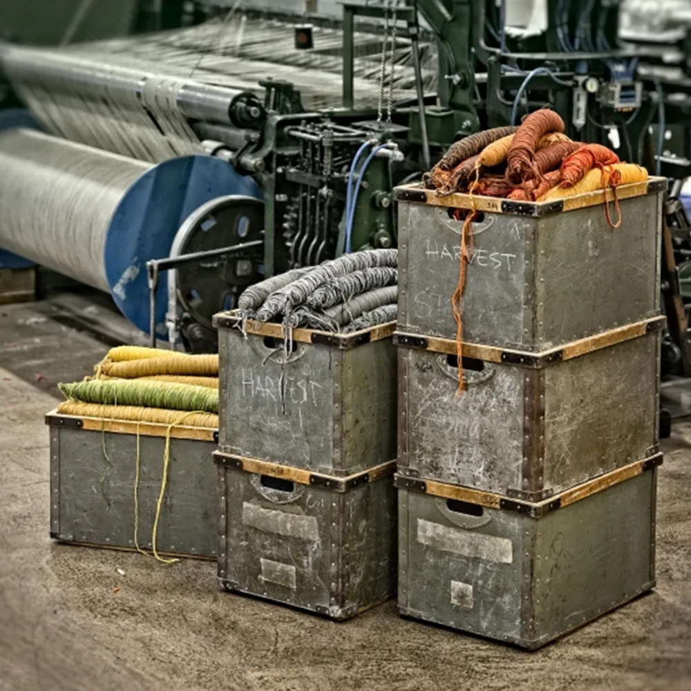 Harvest teppe, Lilla-rosa 300 x 200 cm Kasthall