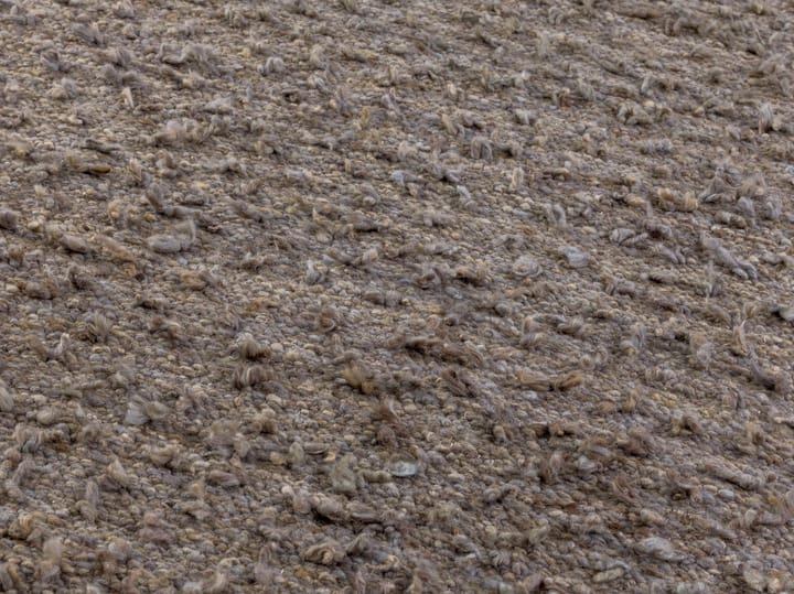 Woolly teppe, Light brown 170 x 240 cm Kateha