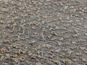 Woolly teppe - Light grey 200 x 300 cm - Kateha