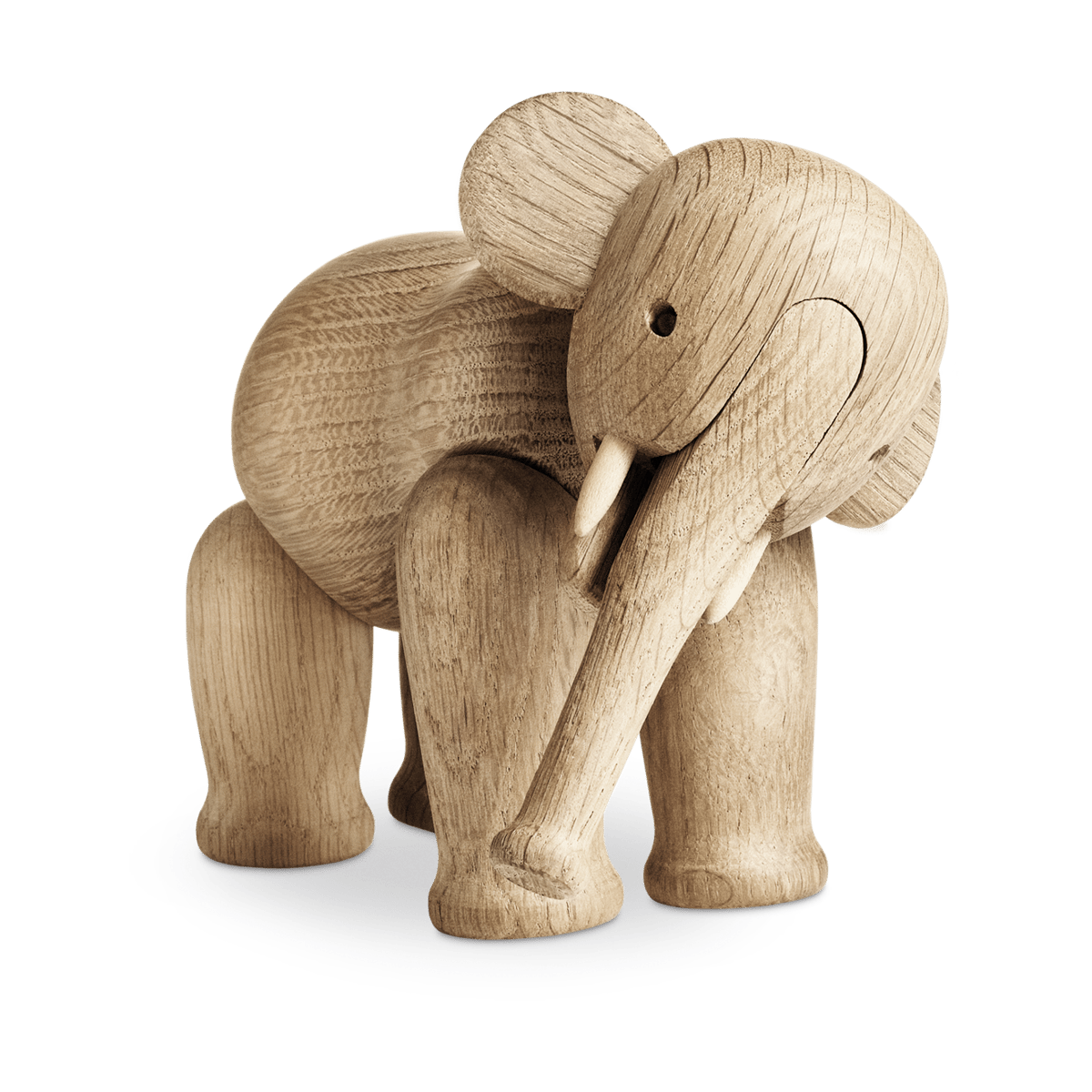 Liliput elefant, eik