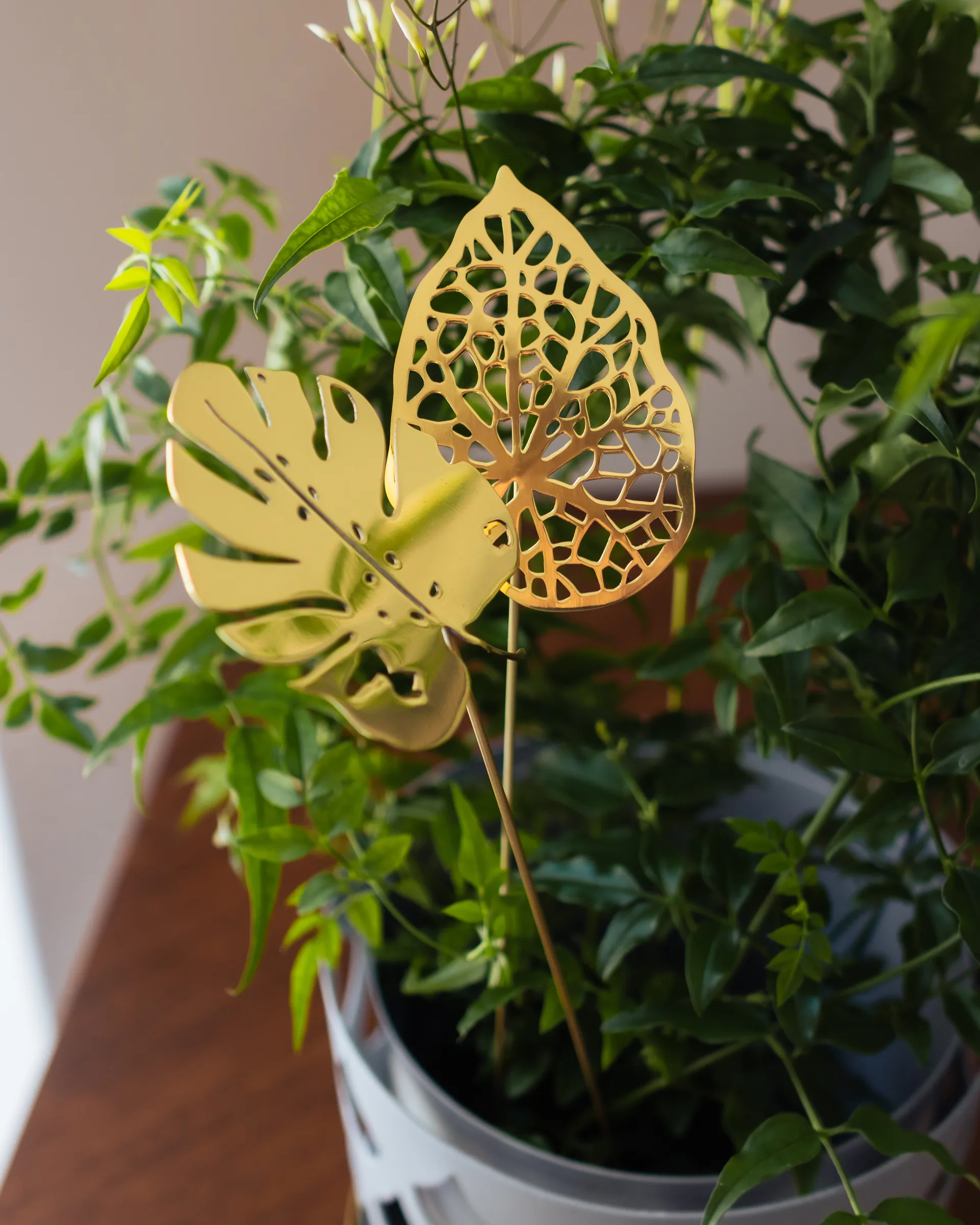 Brass Leaves dekorasjon 2-pk, Water KLONG