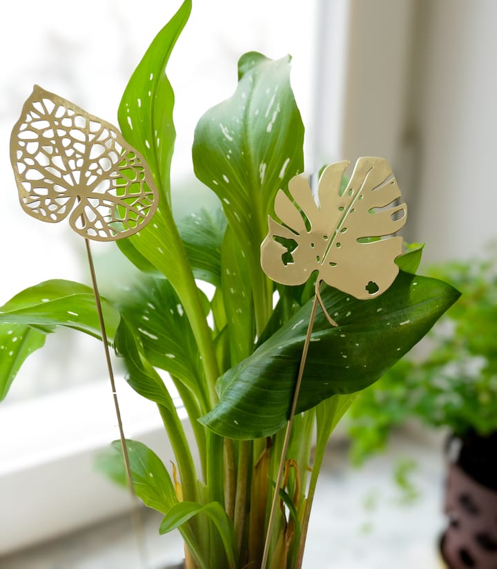 Brass Leaves dekorasjon 2-pk, Water KLONG