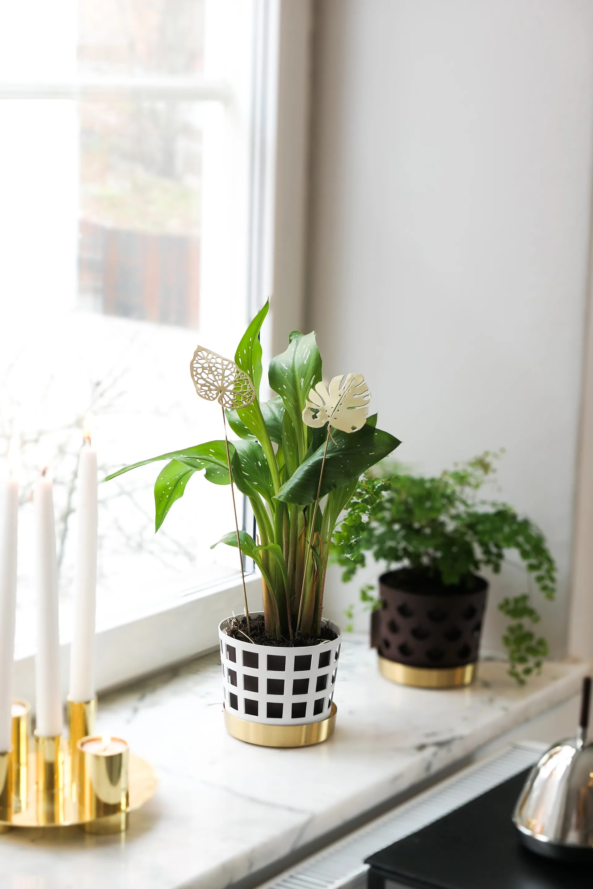 Brass Leaves dekorasjon 2-pk, Water KLONG