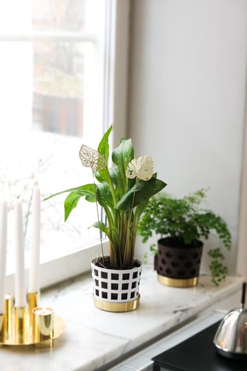 Brass Leaves dekorasjon 2-pk - Water - KLONG