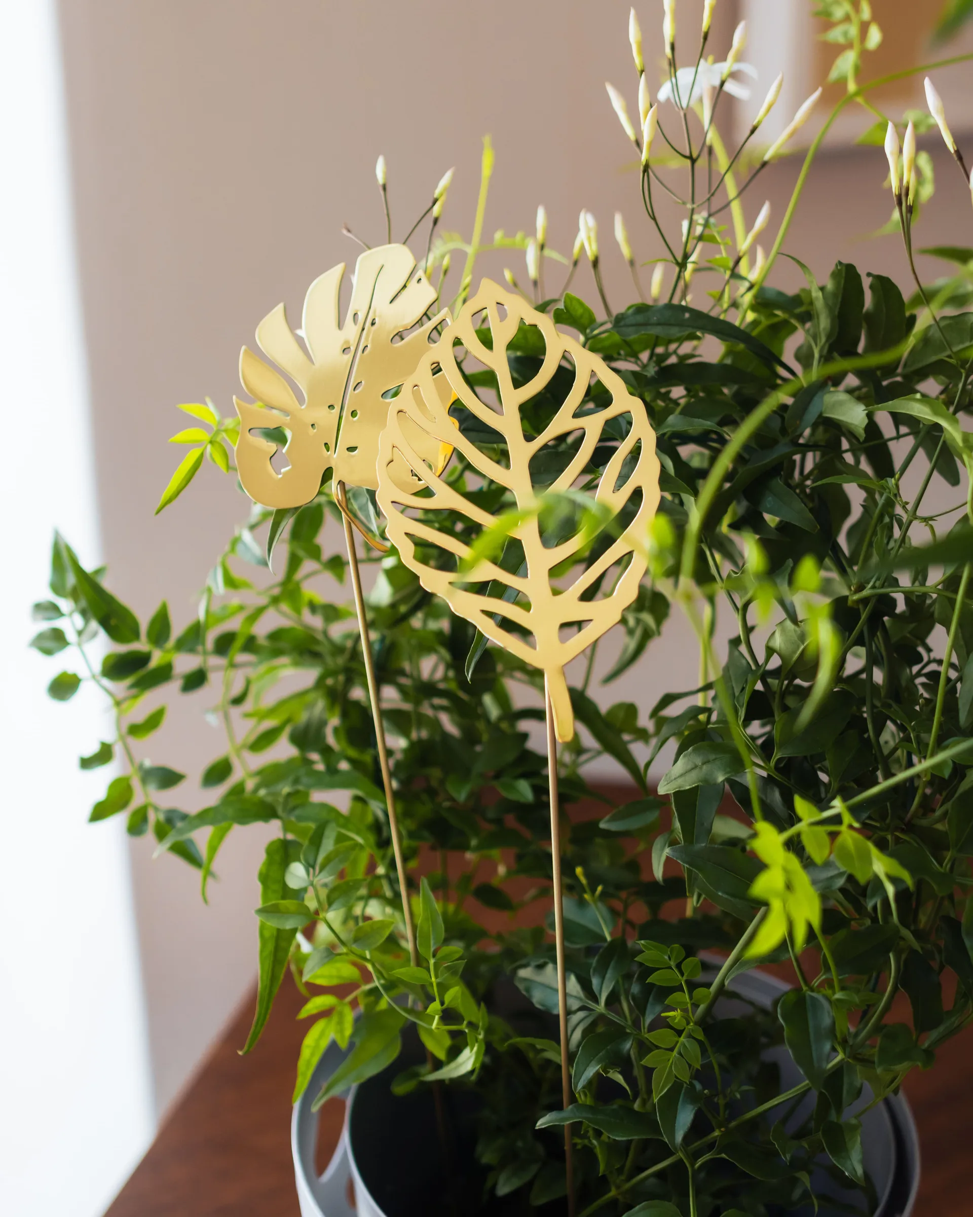 Brass Leaves dekorasjon 2-pk, Wood KLONG