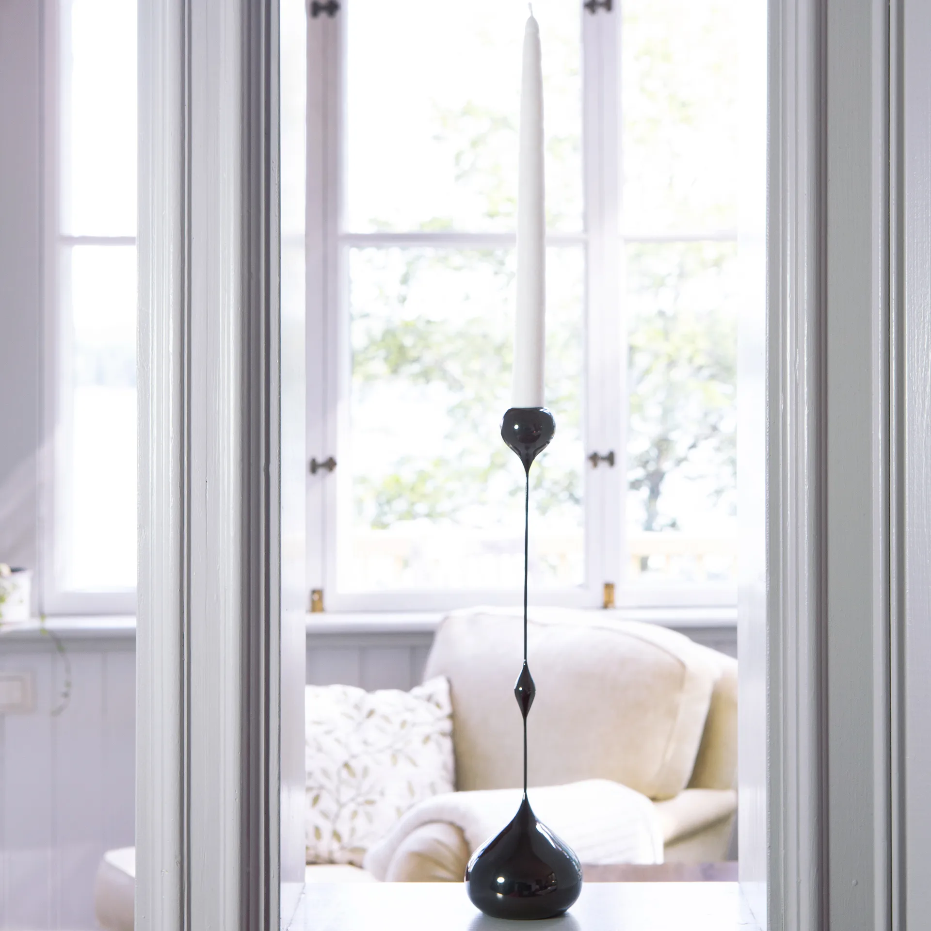 Tender lysestake lav, Svart KLONG