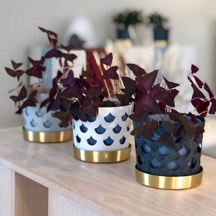 Trio krukke dråpe, liten Ø12 cm, Hvit KLONG