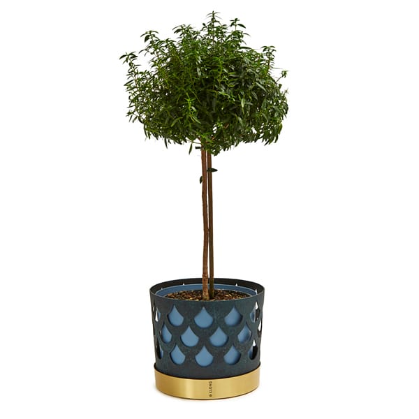 Trio krukke dråpe, stor Ø28 cm, Blå KLONG