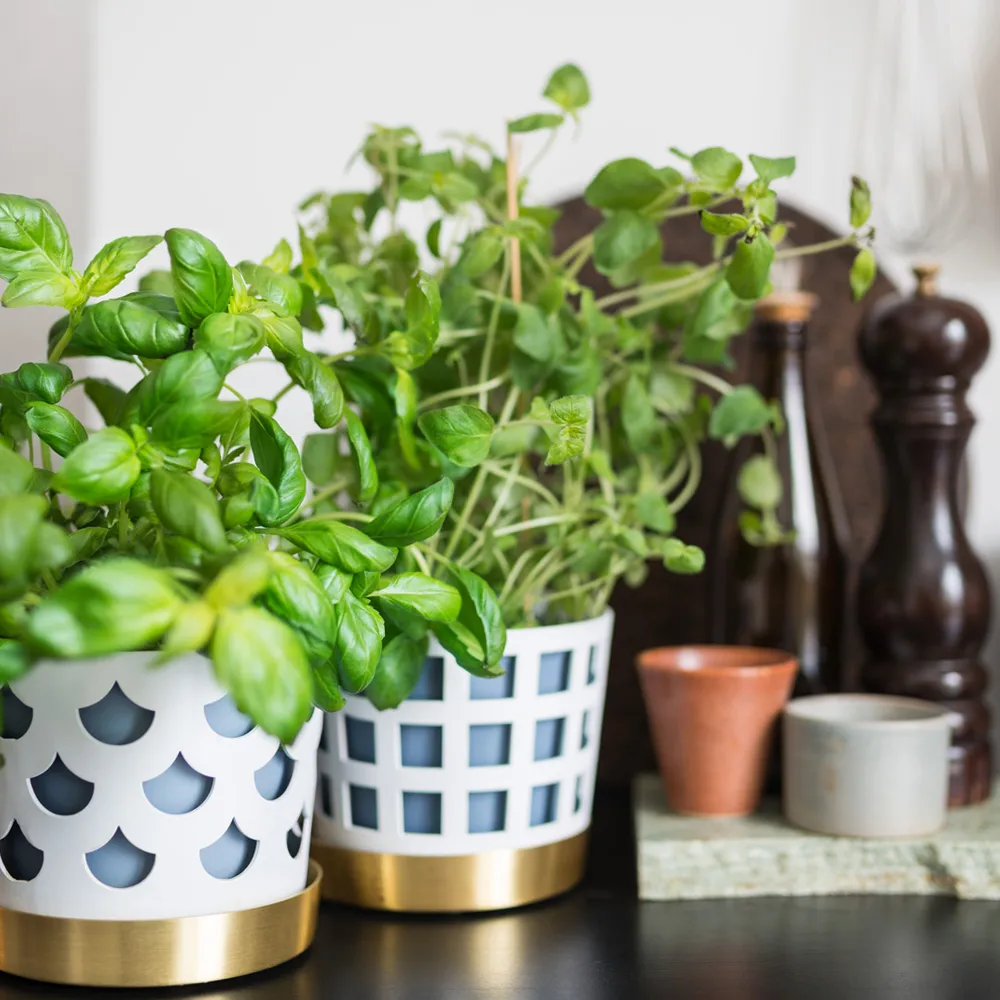 Trio Pot Square krukke, Beige, medium Ø18 cm KLONG