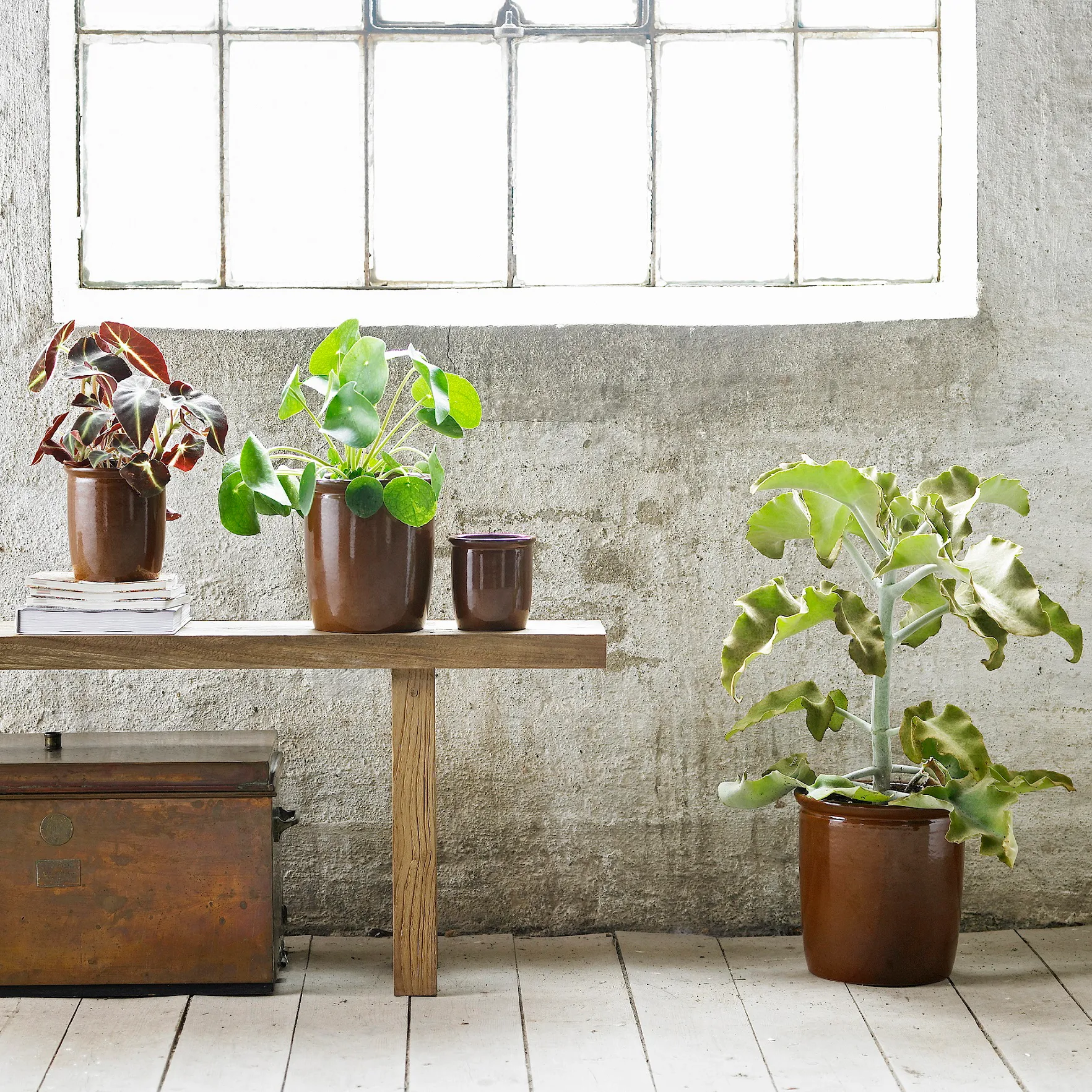 Pickle boks 2 l, brun Knabstrup Keramik