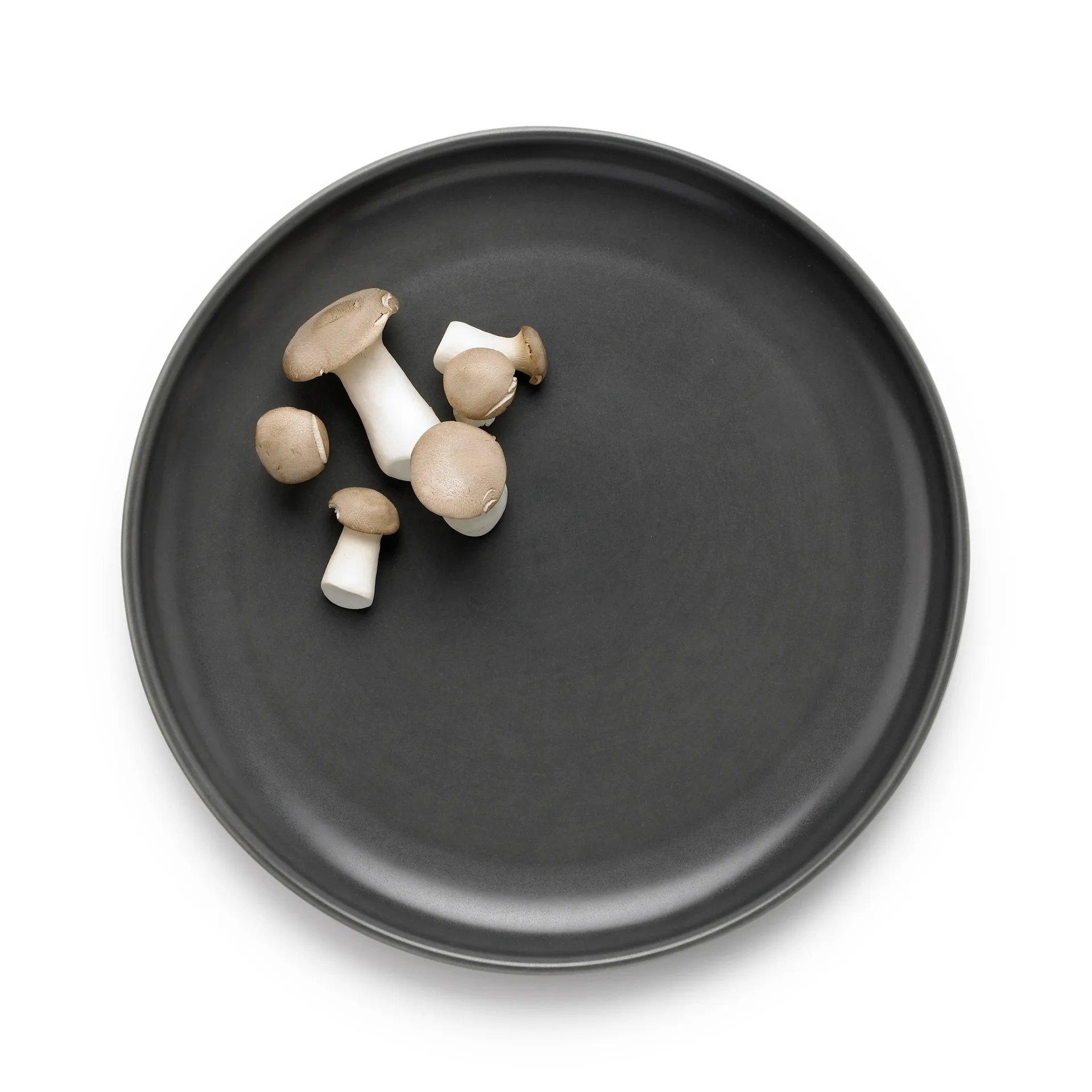 Tavola tallerken Ø 27 cm 2-pakning, Grå Knabstrup Keramik