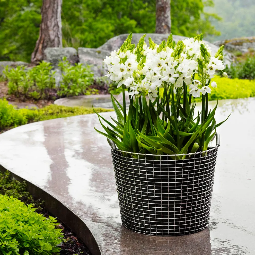 Korbo classic 50, syrefast stål KORBO