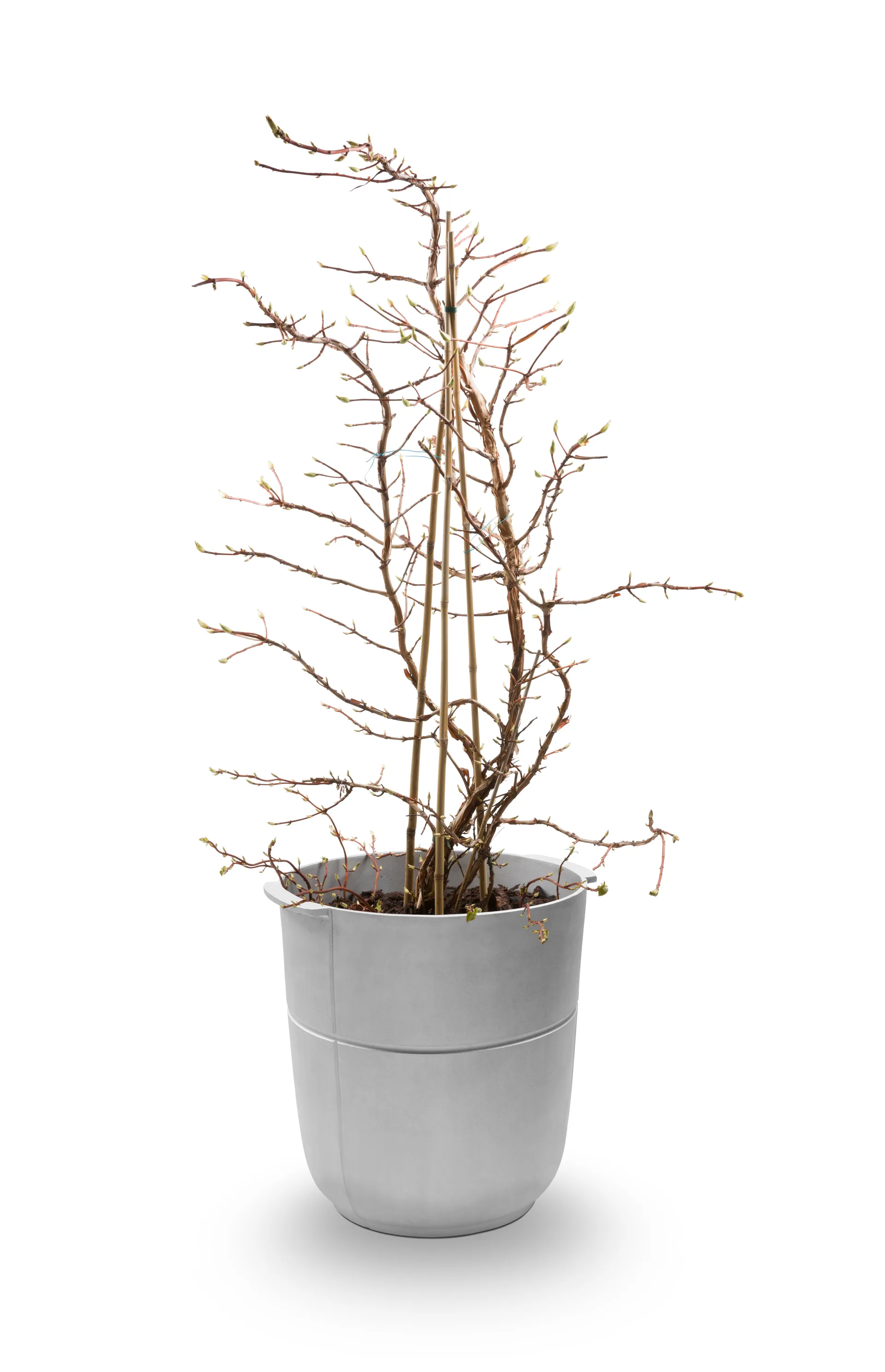 Linea krukke nr 1 høy, Aluminium KORBO