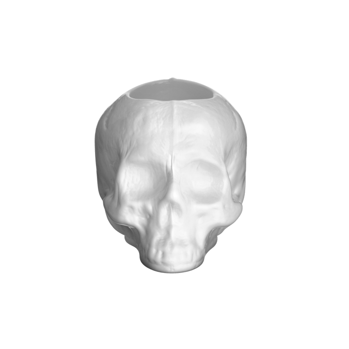 Skull Telysholder 8,5 cm - Hvit - Kosta Boda