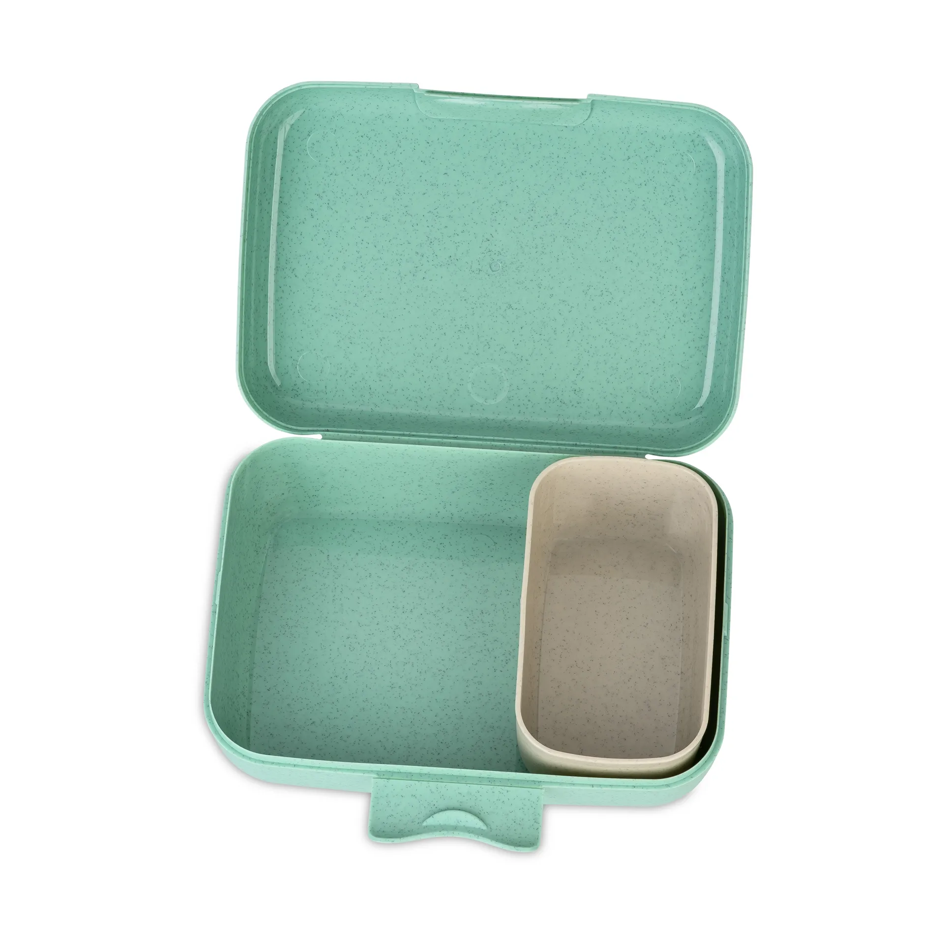 Candy matboks L, Dinosaur Koziol