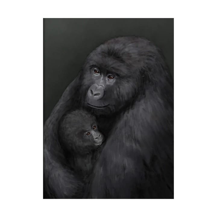 Bergsgorilla poster - 50x70 cm - Kunskapstavlan®