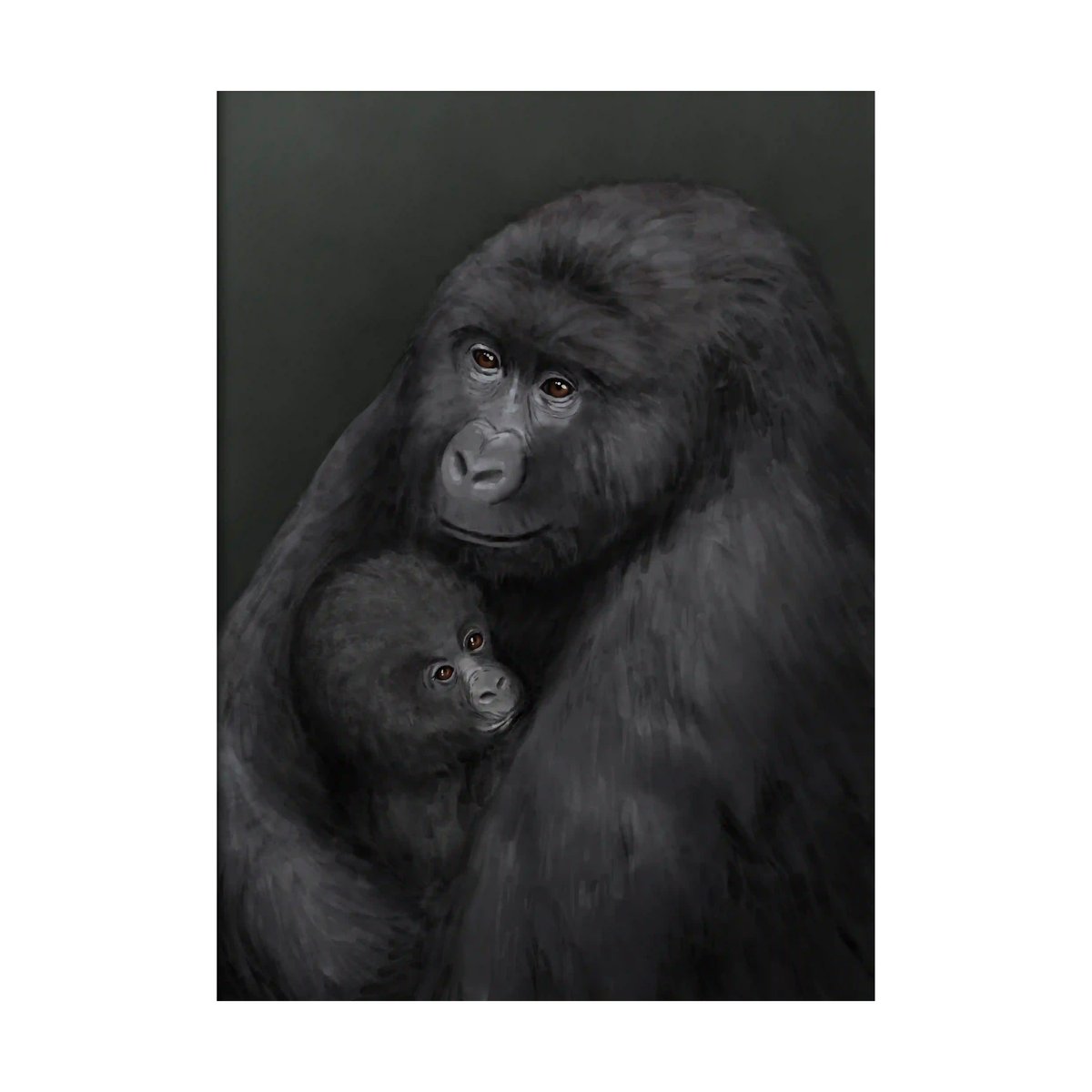 Kunskapstavlan® Bergsgorilla poster 50x70 cm