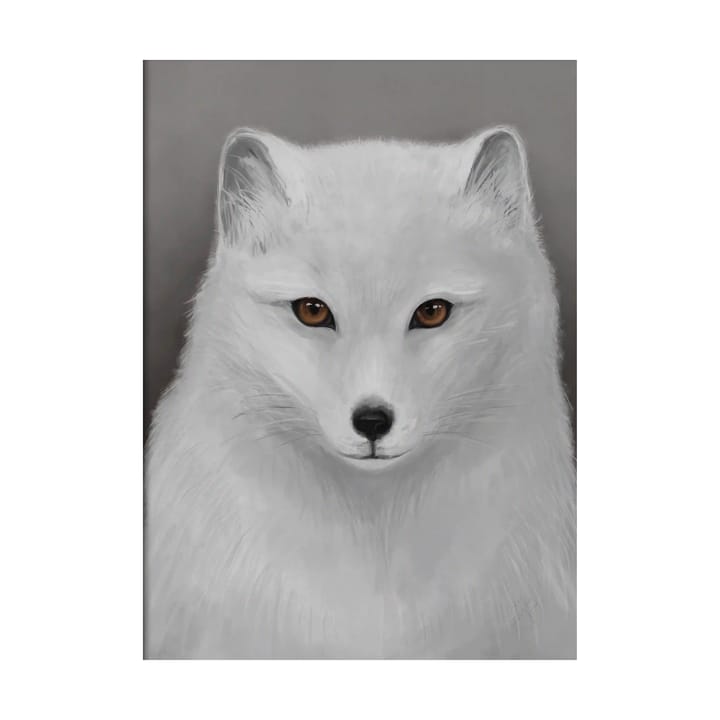 Fjellrev poster - 30x40 cm - Kunskapstavlan®