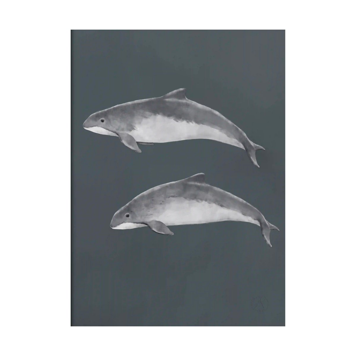 Kunskapstavlan® Østersjøtumler poster 50x70 cm