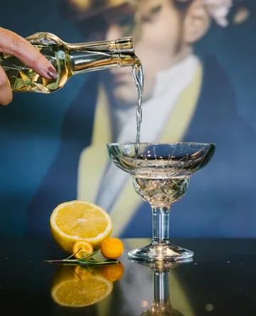 Chicago cocktailglass 6-pakning - 21 cl - La Rochère