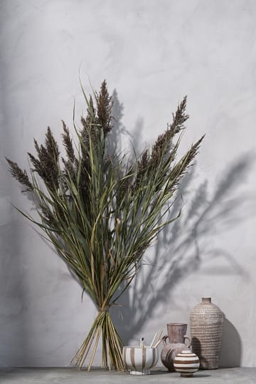 Aniella vase 13,5 cm - Gyllenbrun - Lene Bjerre