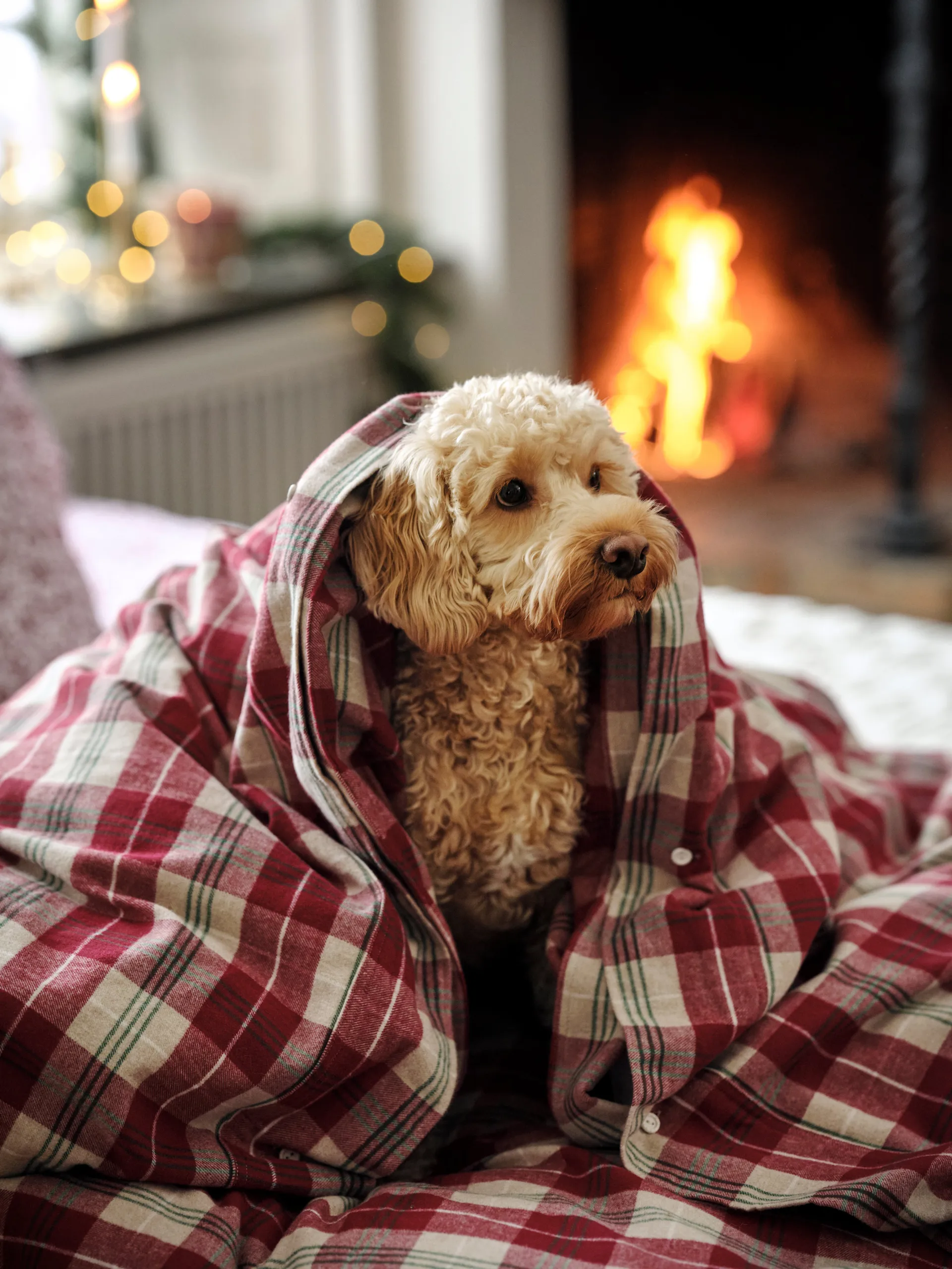 Checked Cotton Flannel sengesett, Rød-beige-grønn-hvit Lexington